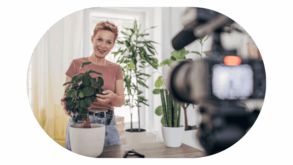 Jak začít vydělávat díky vlastnímu webu